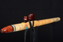 Curly Poplar Native American Flute, Minor, Mid B-4, #F17H